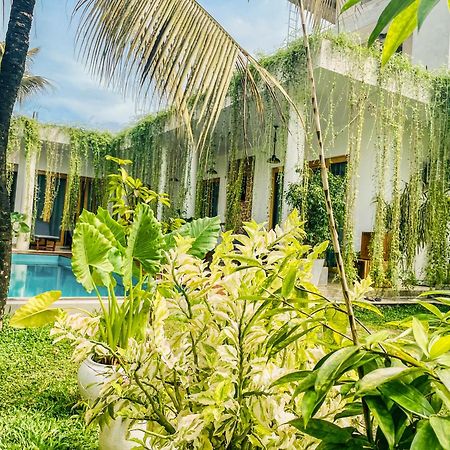 Eton Villa ดิคเวลลา ภายนอก รูปภาพ