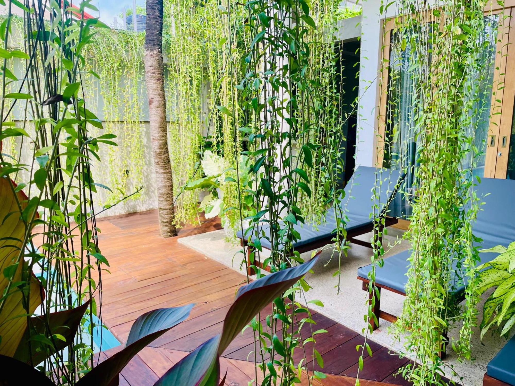 Eton Villa ดิคเวลลา ภายนอก รูปภาพ